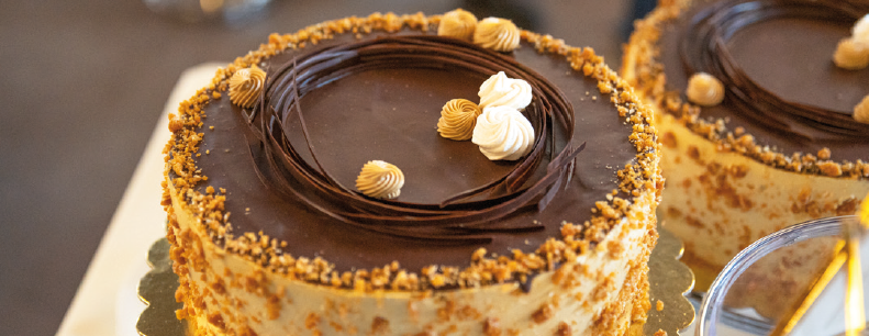 tort31HU